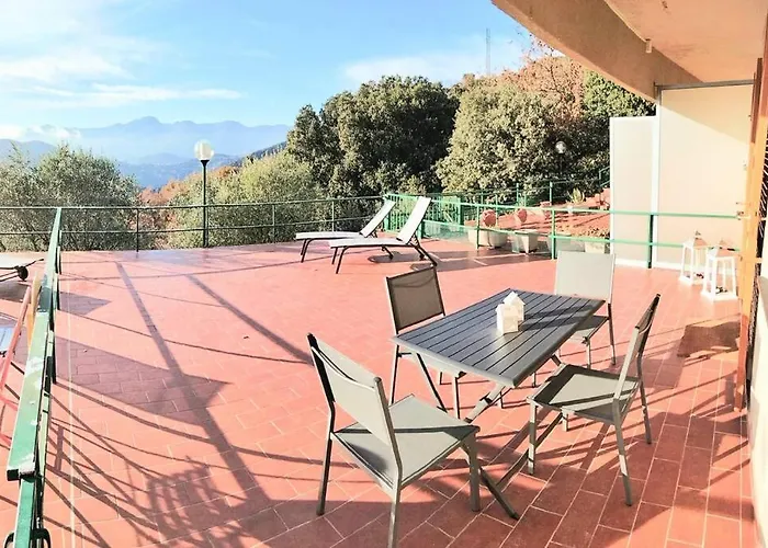 Nido Tra Gli Ulivi
