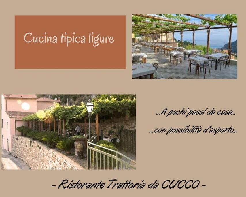 Apartment Nido Tra Gli Ulivi *