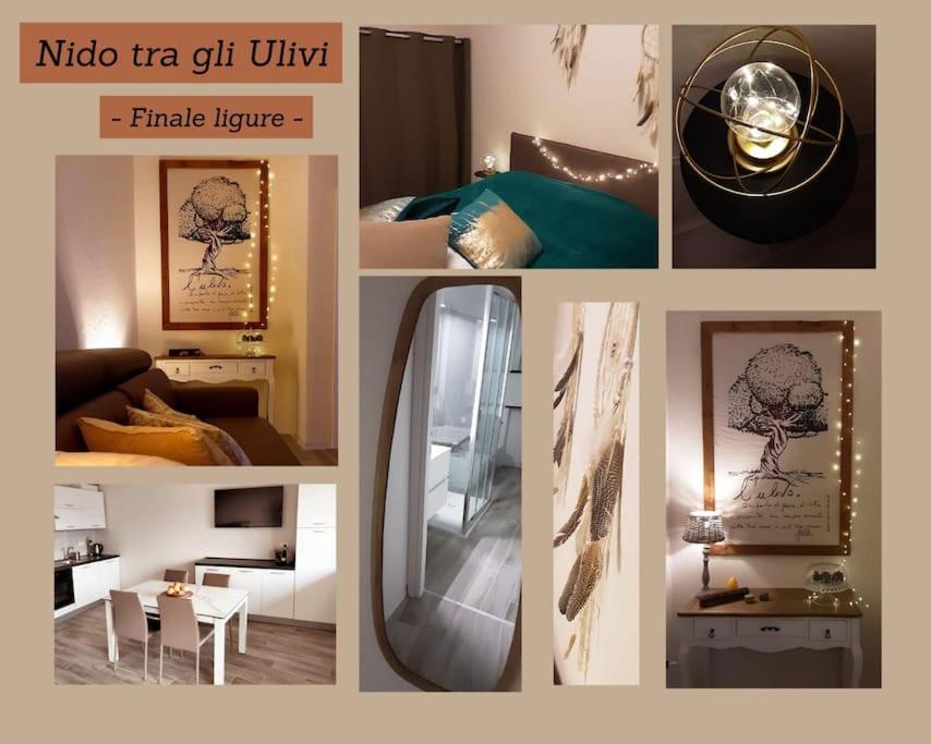 Nido Tra Gli Ulivi *