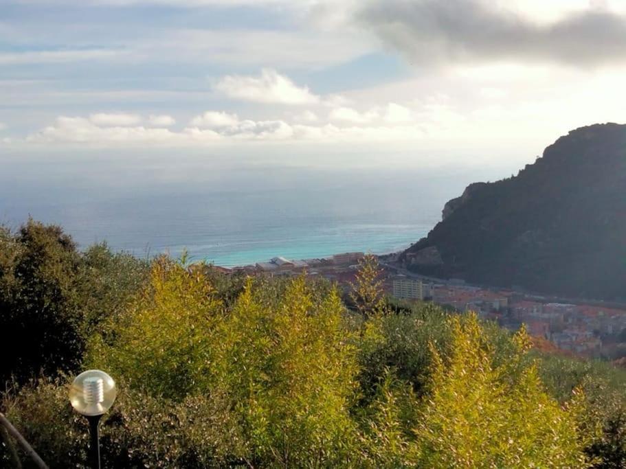 Nido Tra Gli Ulivi Apartment *